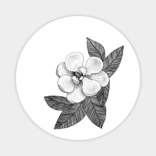 Magnolia - flowers, spring, leaves Magnet